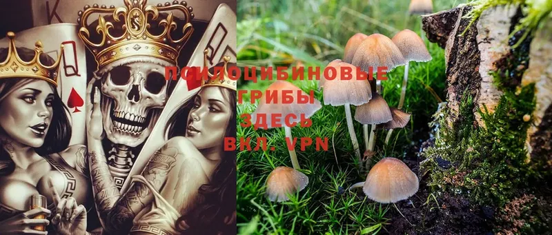 Галлюциногенные грибы MAGIC MUSHROOMS  blacksprut зеркало  Данков 